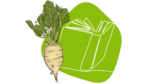 Sugar beet in front of a brochure within a green shape