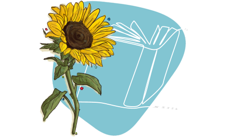 Sunflower in front of a brochure in blue shape