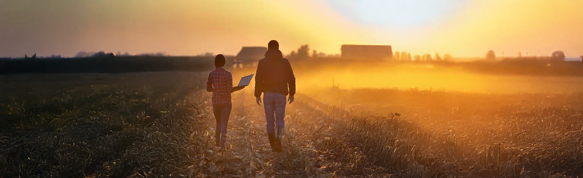 Landwirt und Mitarbeiterin analysieren den Acker