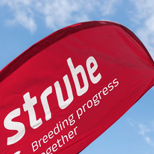 Strube Bowflag mit Logo