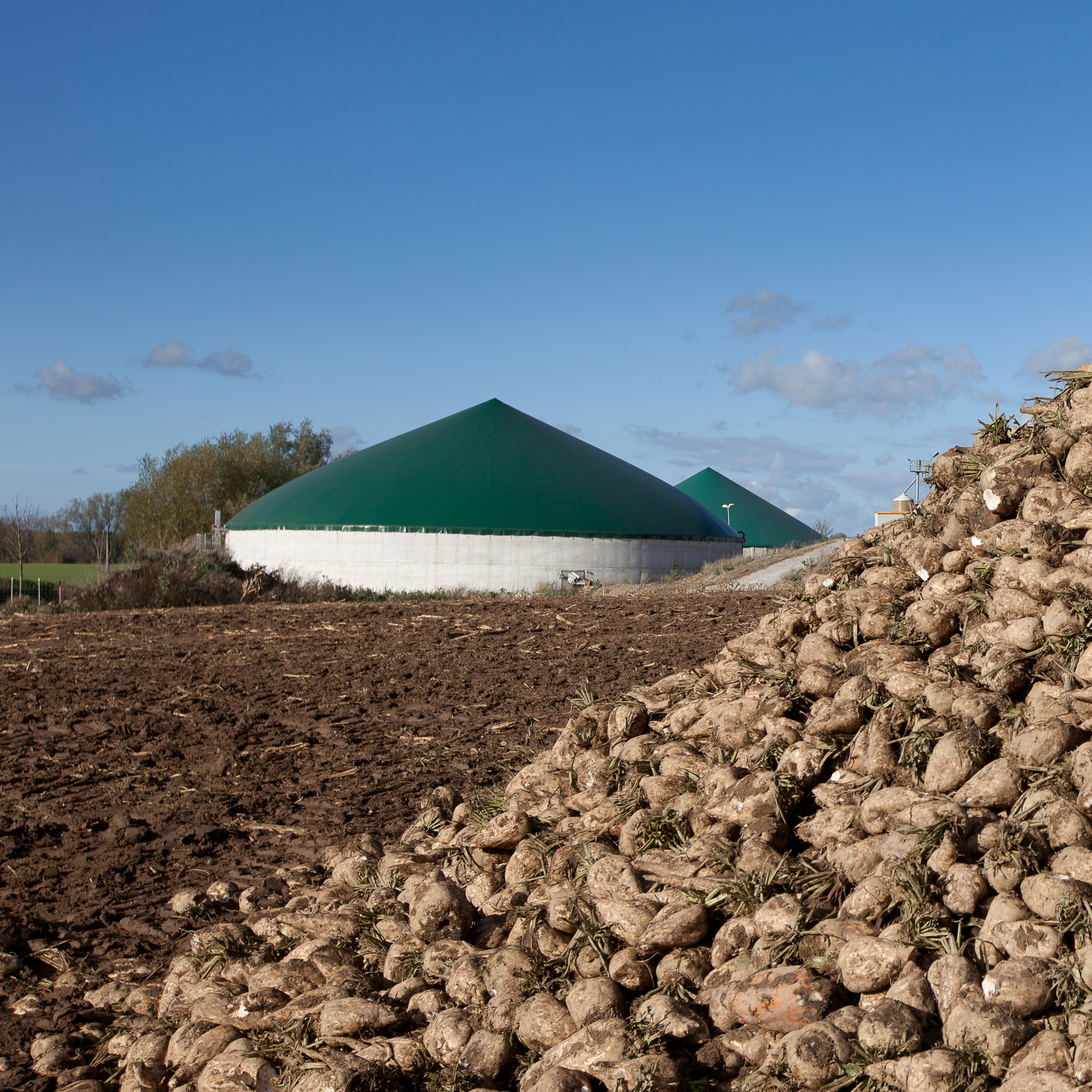 Beet clamp in front of a biogas plant Beet clamp in front of a biogas plant