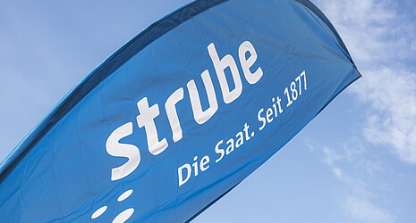 Bowflag mit Strube Logo
