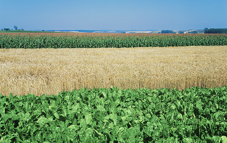 Zawiadomienie o połączeniu