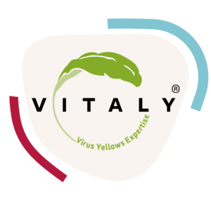 Logo of Virus Yellows varieties