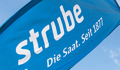  Strubes VisionBlue: tourné vers l'avenir, économique et durable