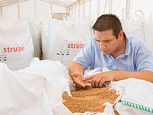 Produkce pšenice