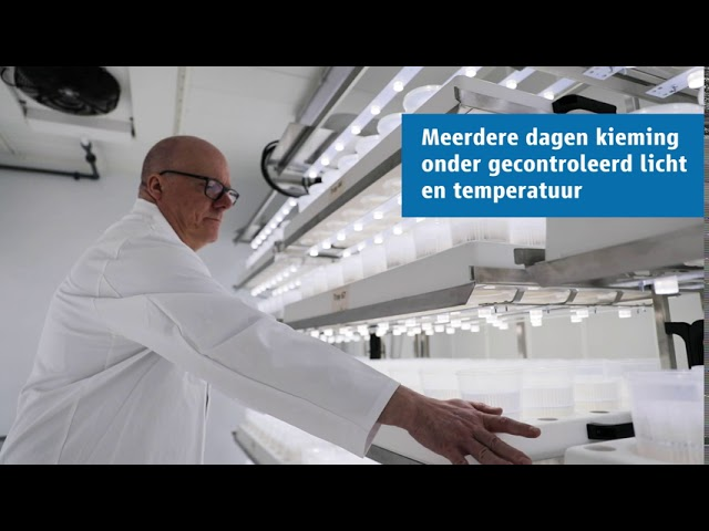 PhenoTest Phenotest Strube
