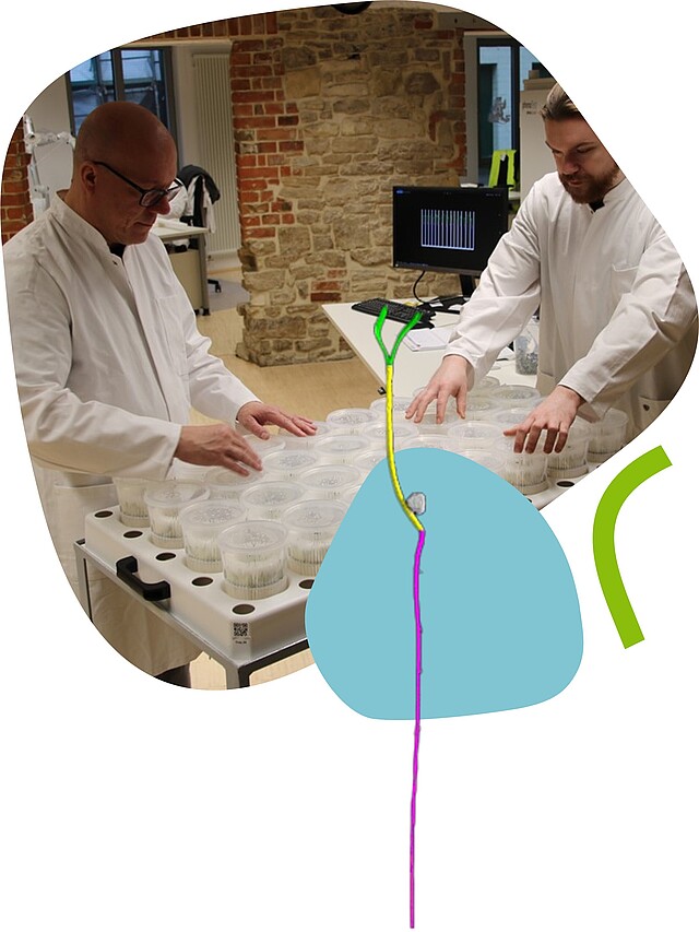 Contrôle de la qualité des semences avec la machine PhenoTest Contrôle de la qualité des semences avec la machine PhenoTest