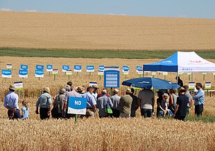 Strube Weizenfeldtag 2018 