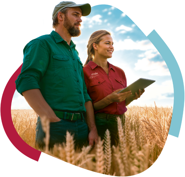 Strube employees in the wheat field Strube employees in the wheat field