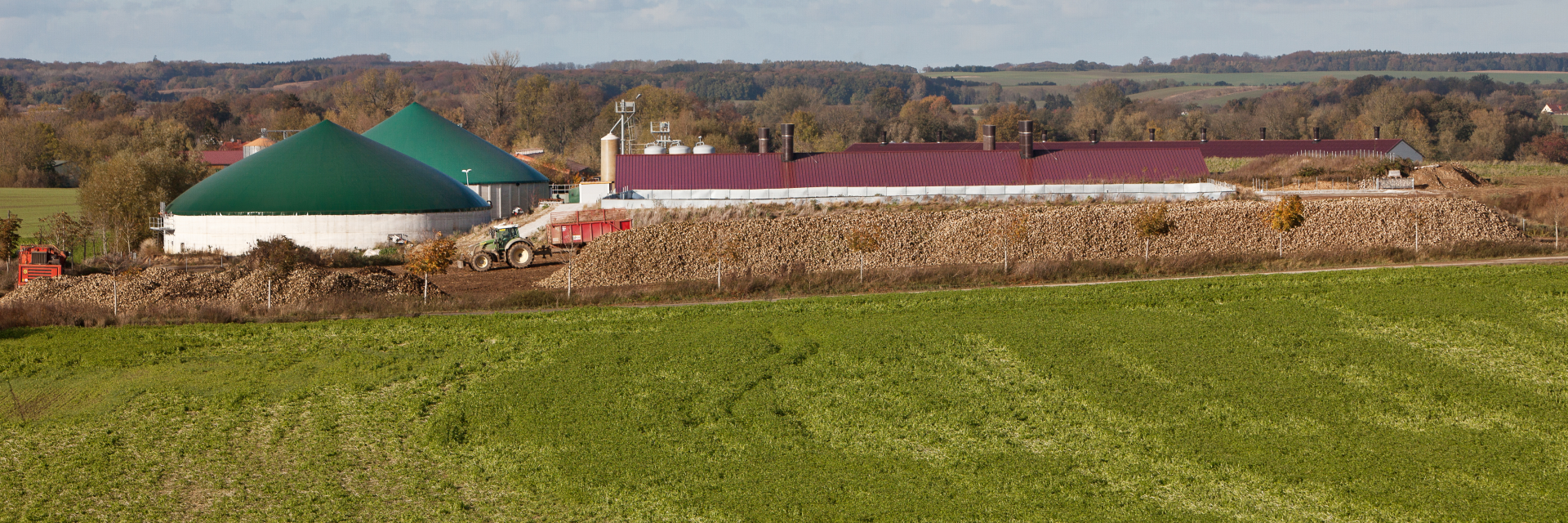 Biogas plant with beet windrow