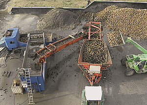 Die Weber Wanne von oben: Zuckerrüben werden für die Reinigung in die Wanne transportiert
