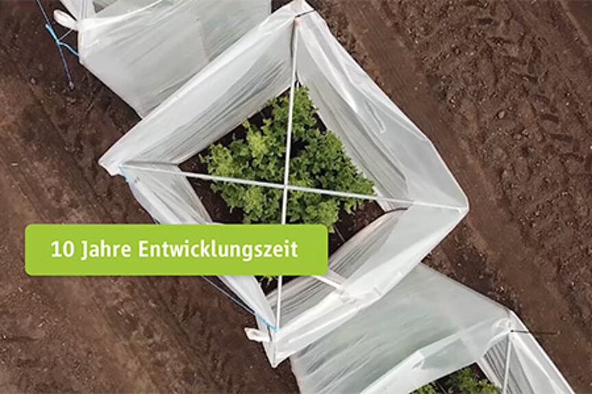Haubenisolierung