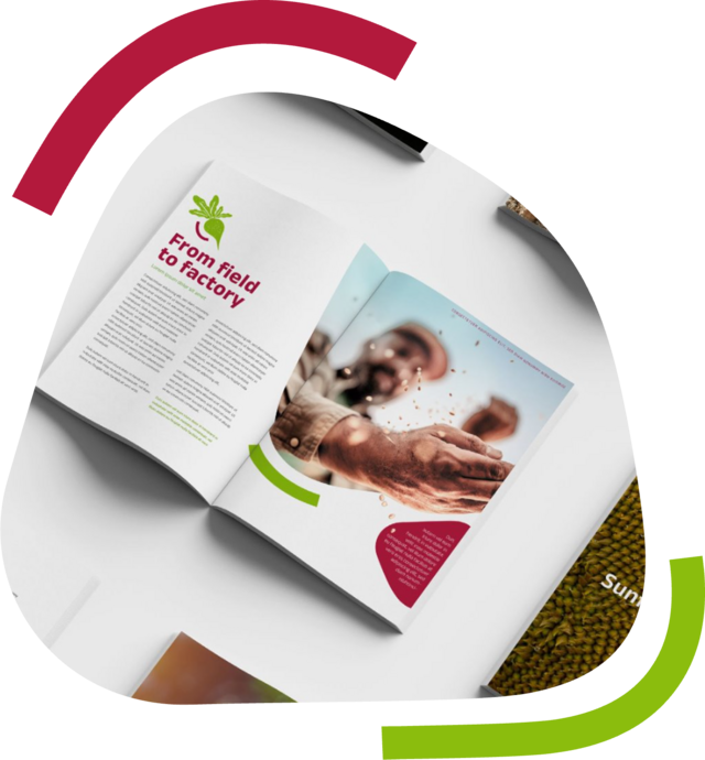  Open brochures on a table