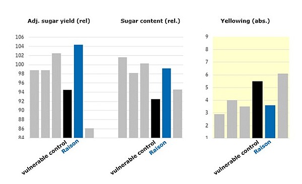 Graphic: SBR variety trial 2019, Arge Südwest, Baden-Württemberg association area (n = 5), mean from Rhinema, Evamaria and Aluco = 100