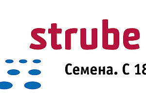 Strube Logo Office rgb ru