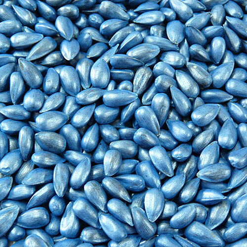 Treated seed from Strube with blue coating
