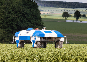 De PhenoBob wordt gebruikt om de opkomst van velden te tellen en het bladoppervlak van jonge planten te meten. De robot is volledig autonoom en geautomatiseerd op de proefvelden van suikerbieten.