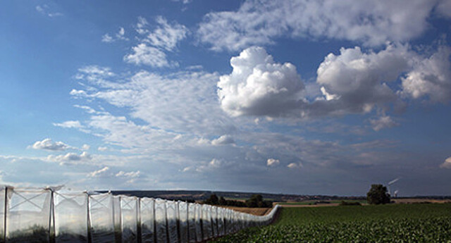 Feld mit Hauben und Wolken