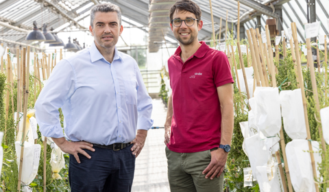 Der neue CEO Hervé Caroff mit dem neuen Leiter für Züchtung und Entwicklung von Zuckerrüben