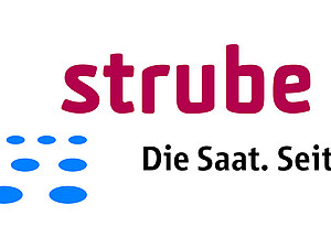 Strube Logo (Deutsch) Print