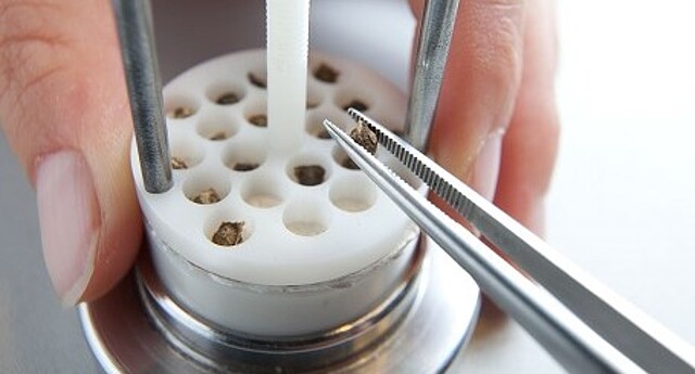 The sugar beet samples are placed in the CT mold with the Pingsette.