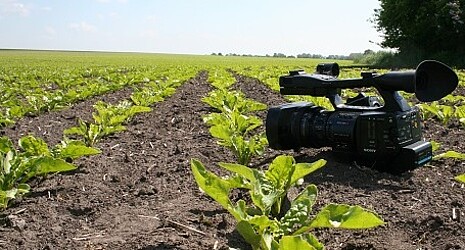 Video camera is ready to shoot at the sugar beet field