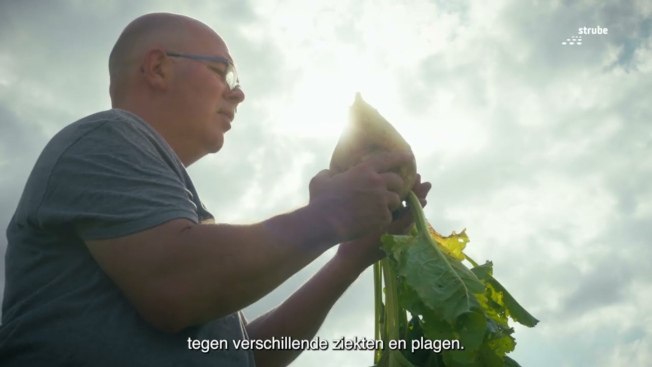 Geworteld. Verbonden. Samen sterk.