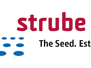 Strube Logo (Englisch) Office
