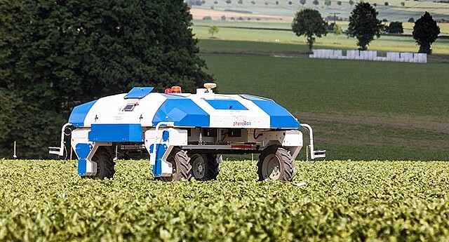 The PhenoBob analyzes the development of sugar beets