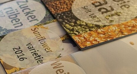 Strube seeds brochures and flyer