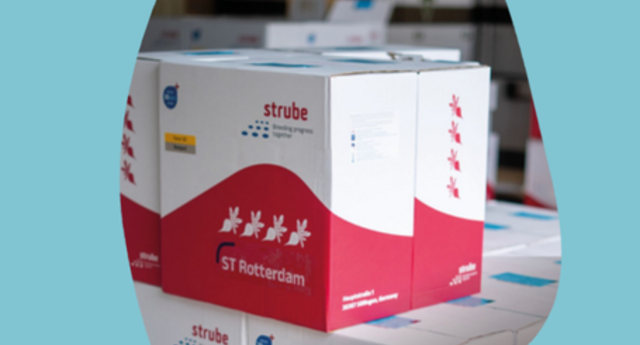 Saatgutverpackung der Zuckerrübensorte ST Rotterdam