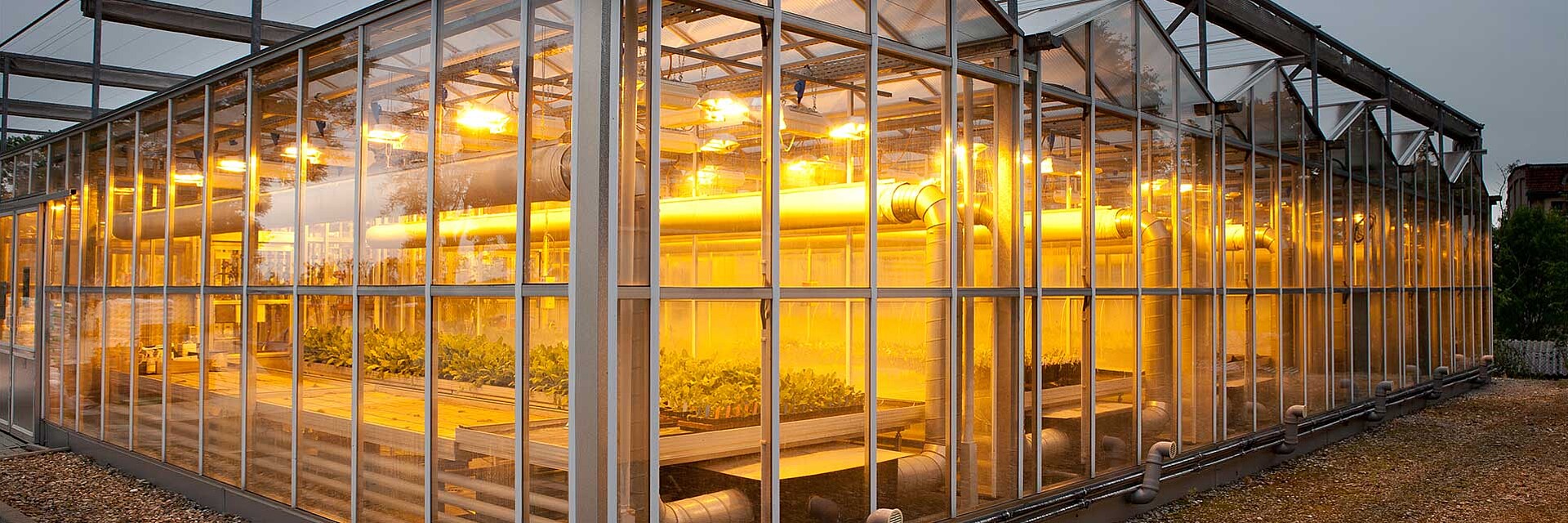 Strube - Research area: Greenhouse