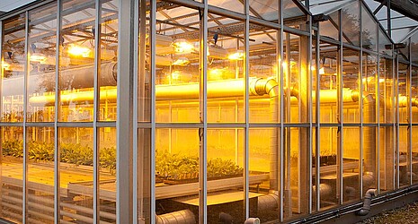 Strube Research -  Illuminated greenhouse in the evening