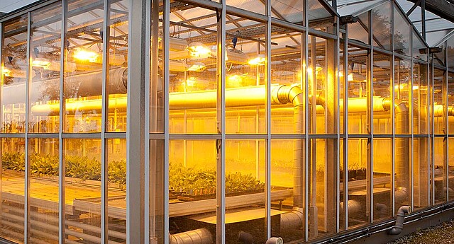 Strube Research -  Illuminated greenhouse in the evening