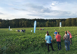 Strubes Feldtag in Andelfingen (Schweiz): Beratung an drei Stationen