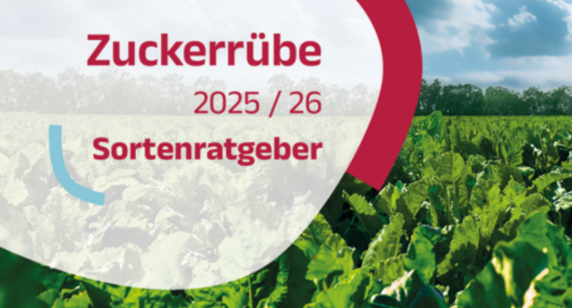 Sortenratgeber Zuckerrübe 2025/26