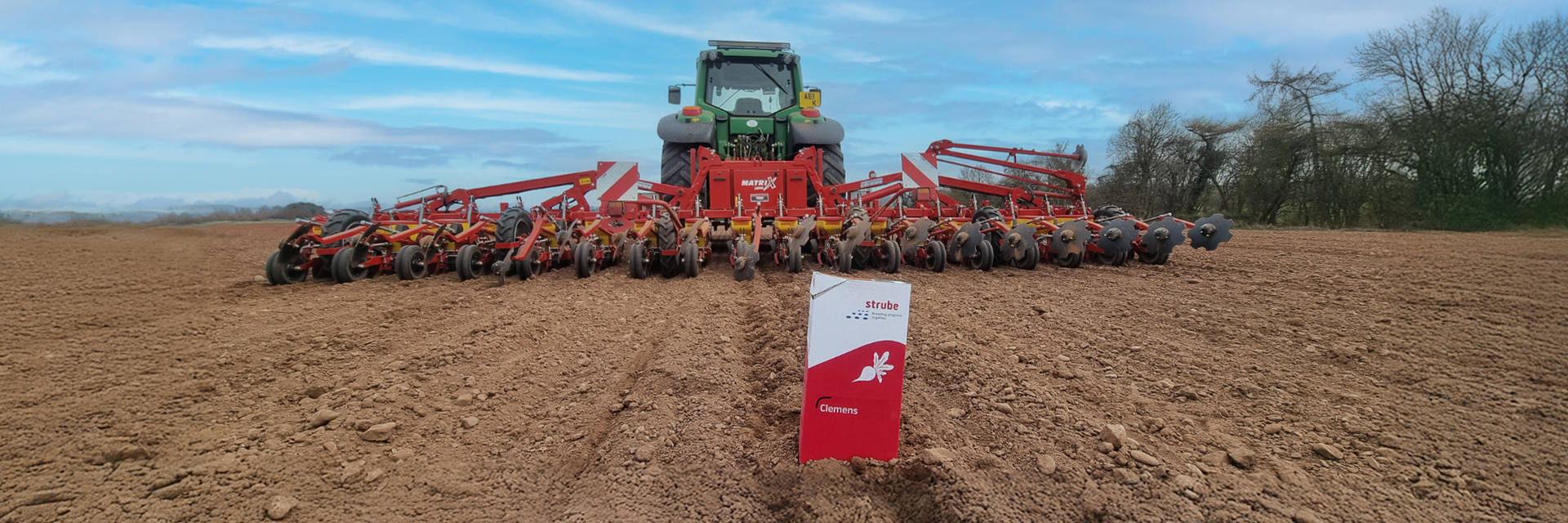 Drilling fodder beet variety Gahan in UK Drilling fodder beet variety Gahan in UK