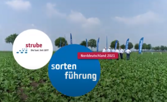 Strube Saatzucht- Unsere Sortenführung für Zuckerrüben in Norddeutschland
