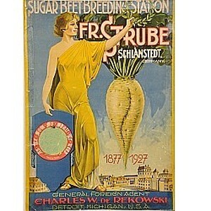 50 years Strube