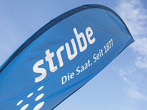 Flaga Strube