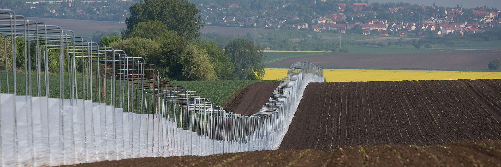 Strube D&S GmbH Alles über Strube