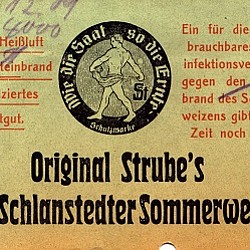 1907 Strube-Sommerweizen