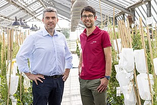 Hervé Caroff, Gen-eral Manager, and Dr Mi-chael Stange, Head of Sugar Beet Breeding and Product Management, embrace the strategic move made by Deleplanque.