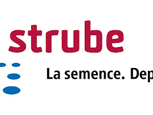 Strube Logo (Französisch) Office