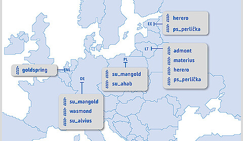 Strube Saatzucht: Variety registrations Wheat international