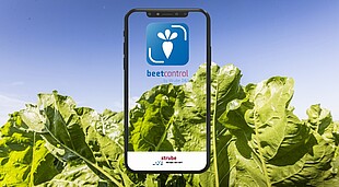 BeetControl app identifies digitally leaf diseases in sugar beets.
