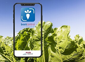 BeetControl app identifies digitally leaf diseases in sugar beets.
