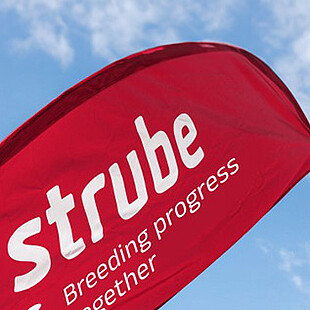 Strube Bowflag mit Logo