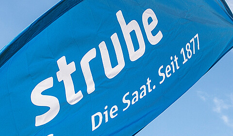 Strube Bowflag mit Logo